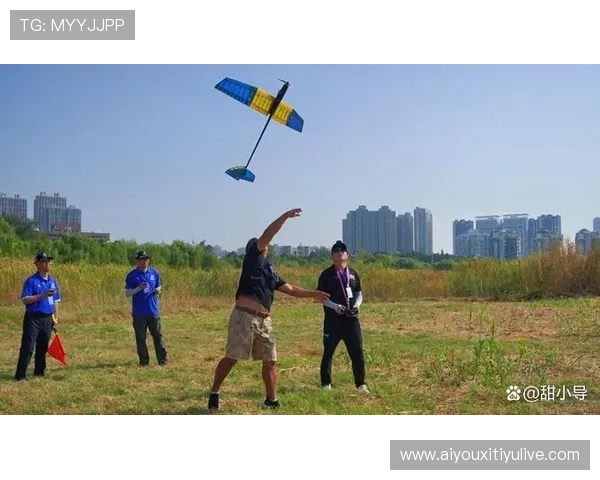 从失败中学习：多位选手分享首次参赛经验与收获