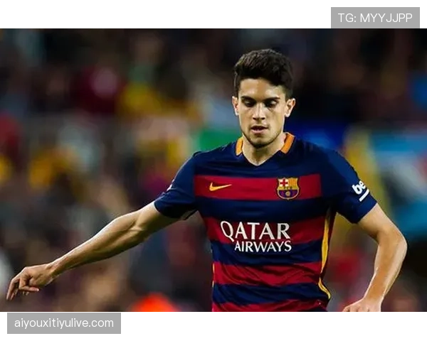 极端天气困扰:多特蒙德队大巴因暴雪延误,赛前热身时间缩短